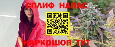 ПСИЛОЦИБИНОВЫЕ ГРИБЫ Славгород