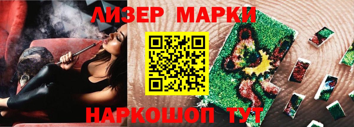 A PVP Петропавловск-Камчатский