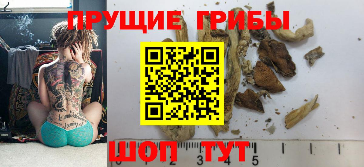 Петропавловск-Камчатский  Псилоцибиновые грибы Magic Shrooms  Вход с VPN 